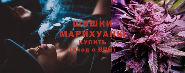 молекула духа Майский