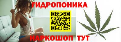 ПСИЛОЦИБИНОВЫЕ ГРИБЫ Апшеронск