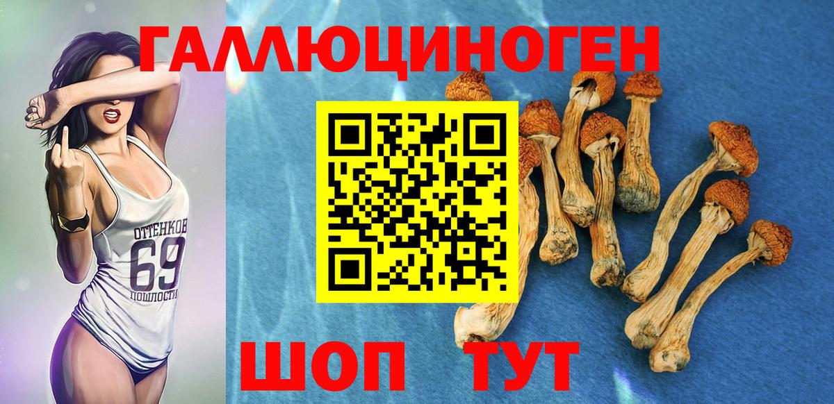 Галлюциногенные грибы прущие грибы Петропавловск-Камчатский