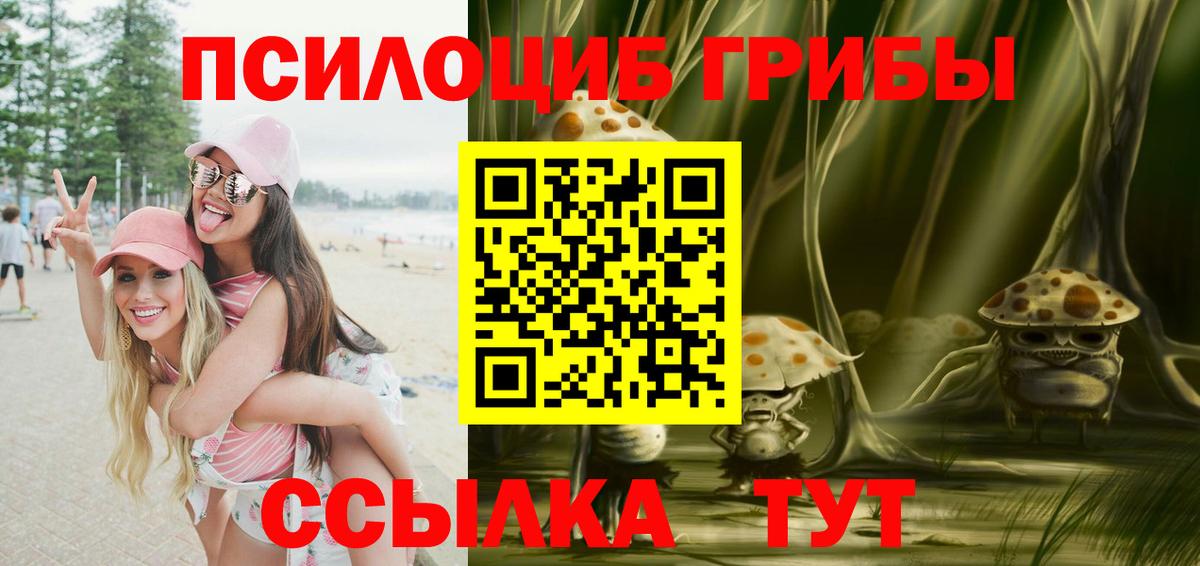купить наркотики цена  Вход с VPN  Псилоцибиновые грибы MAGIC MUSHROOMS  Петропавловск-Камчатский  Псилоцибиновые грибы GOLDEN TEACHER 