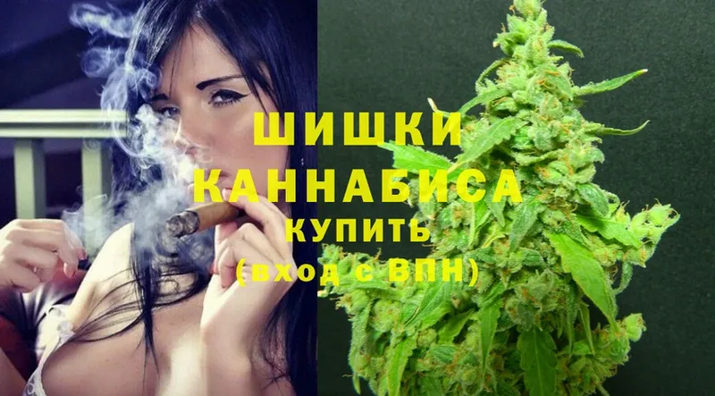 где купить наркоту  Петропавловск-Камчатский  Каннабис Ganja 